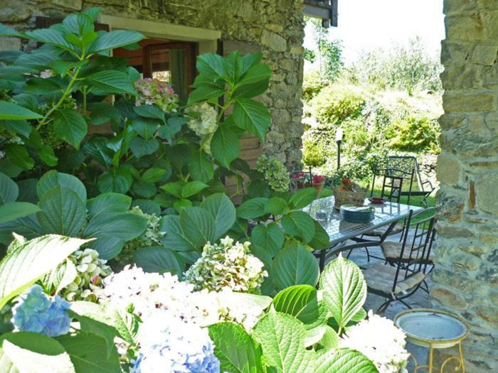 Villa Erica Con Piscina Privata Sul Lago Di Como Коліко Екстер'єр фото